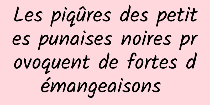 Les piqûres des petites punaises noires provoquent de fortes démangeaisons 