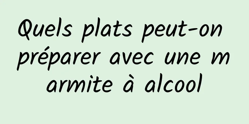 Quels plats peut-on préparer avec une marmite à alcool