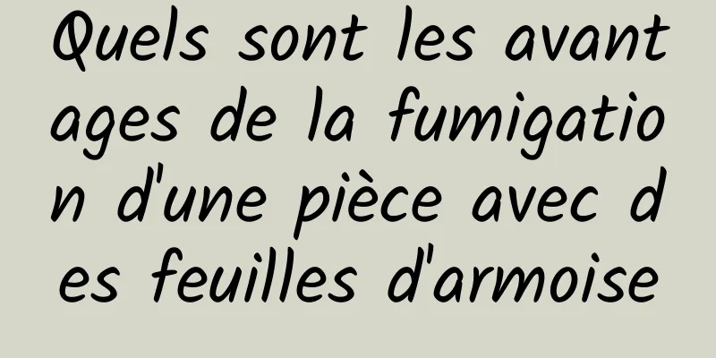 Quels sont les avantages de la fumigation d'une pièce avec des feuilles d'armoise