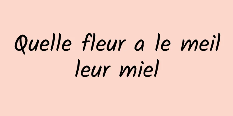 Quelle fleur a le meilleur miel