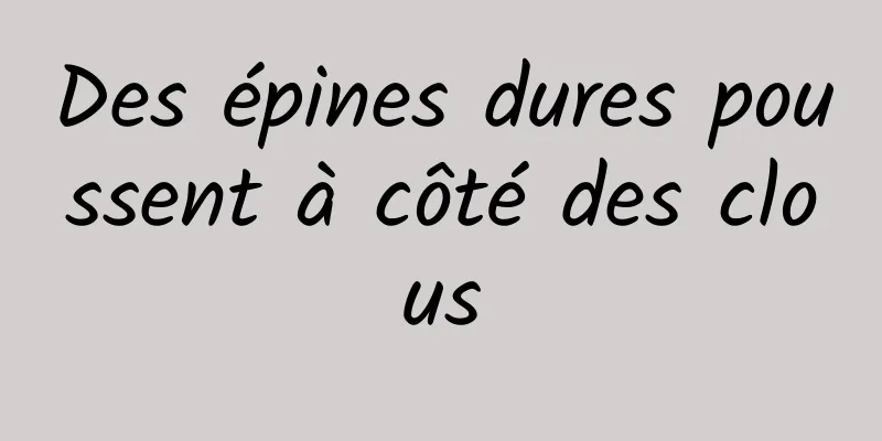 Des épines dures poussent à côté des clous