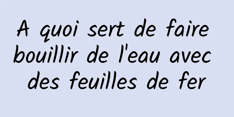 A quoi sert de faire bouillir de l'eau avec des feuilles de fer