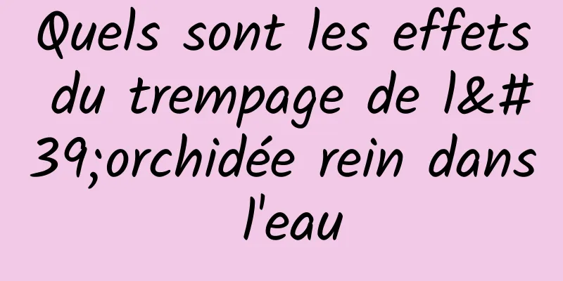 Quels sont les effets du trempage de l'orchidée rein dans l'eau