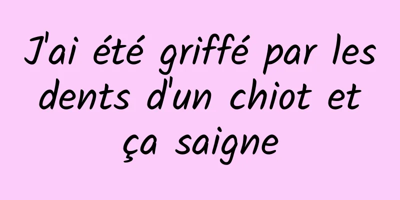 J'ai été griffé par les dents d'un chiot et ça saigne