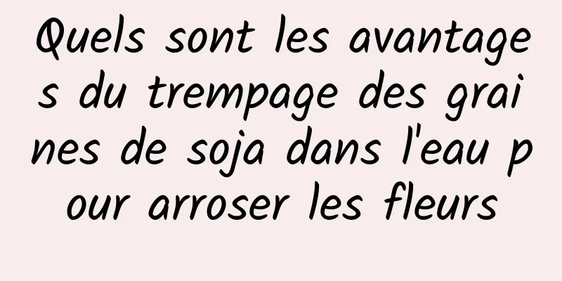 Quels sont les avantages du trempage des graines de soja dans l'eau pour arroser les fleurs