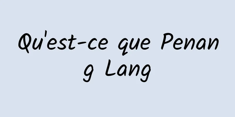 Qu'est-ce que Penang Lang