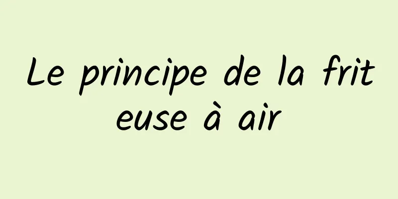 Le principe de la friteuse à air