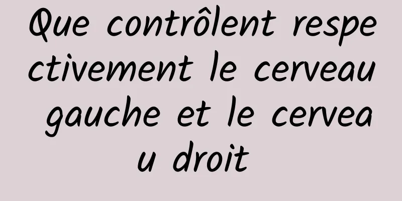 Que contrôlent respectivement le cerveau gauche et le cerveau droit 