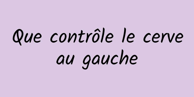 Que contrôle le cerveau gauche