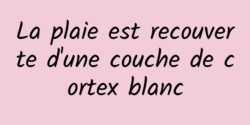 La plaie est recouverte d'une couche de cortex blanc