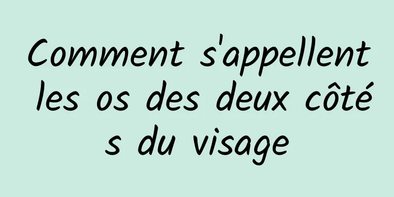 Comment s'appellent les os des deux côtés du visage