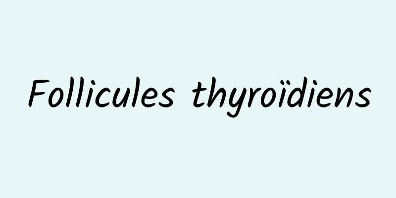 Follicules thyroïdiens