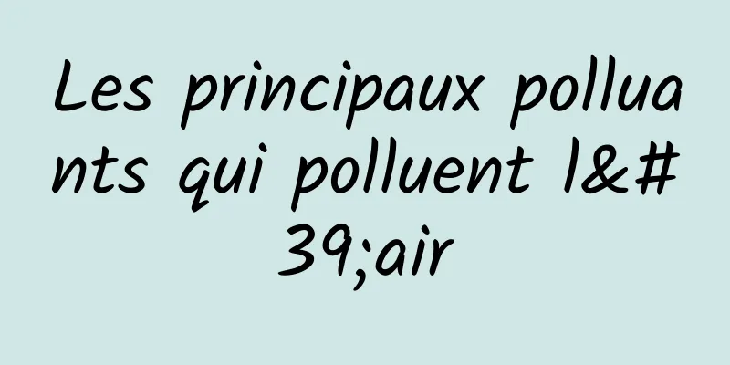 Les principaux polluants qui polluent l'air