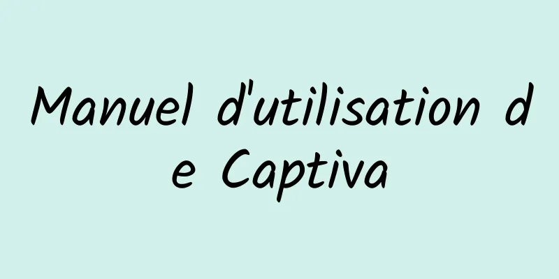 Manuel d'utilisation de Captiva