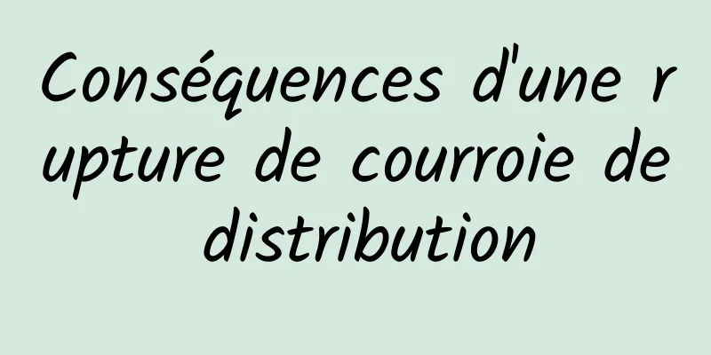 Conséquences d'une rupture de courroie de distribution