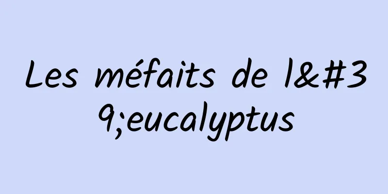 Les méfaits de l'eucalyptus