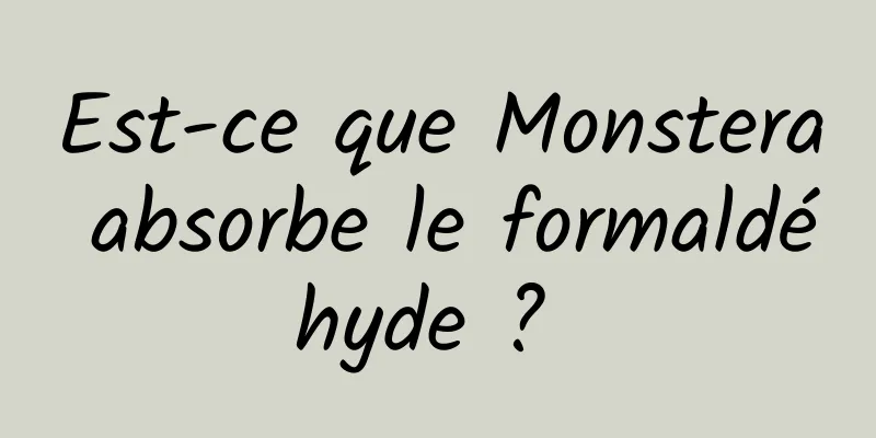 Est-ce que Monstera absorbe le formaldéhyde ? 