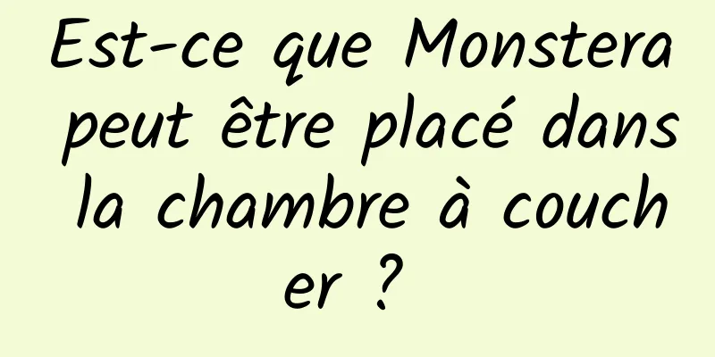 Est-ce que Monstera peut être placé dans la chambre à coucher ? 