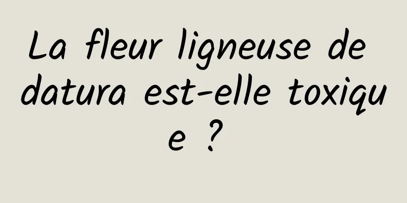 La fleur ligneuse de datura est-elle toxique ? 