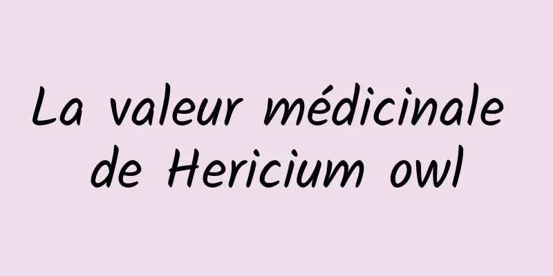 La valeur médicinale de Hericium owl