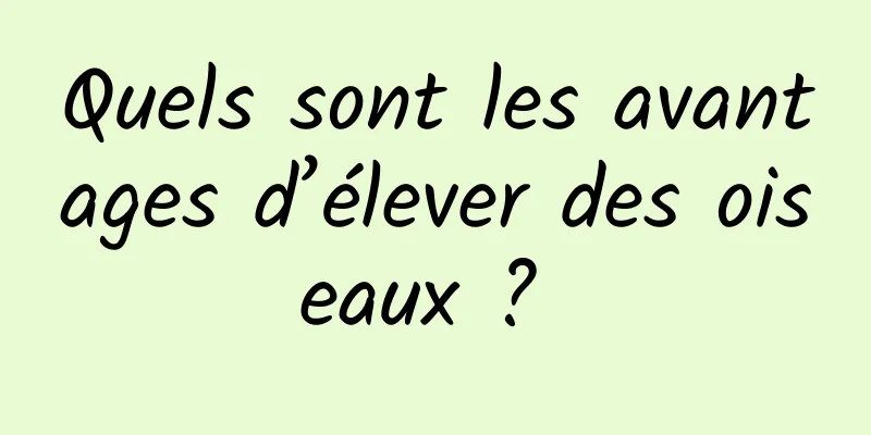 Quels sont les avantages d’élever des oiseaux ? 