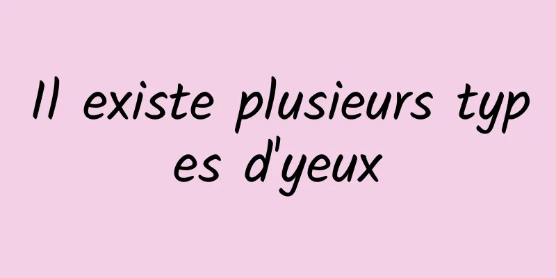 Il existe plusieurs types d'yeux