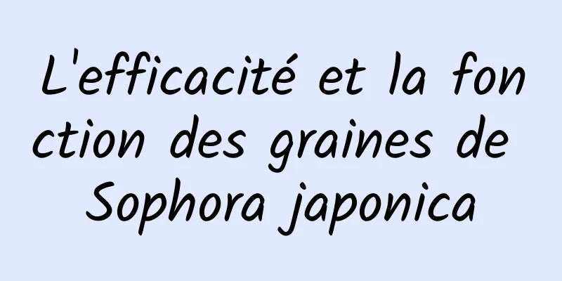 L'efficacité et la fonction des graines de Sophora japonica