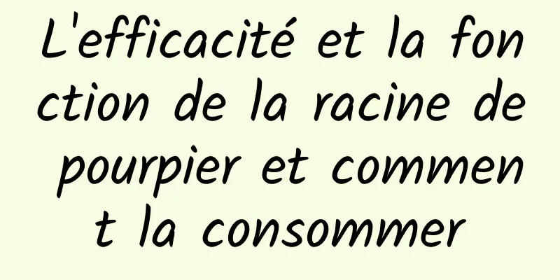 L'efficacité et la fonction de la racine de pourpier et comment la consommer