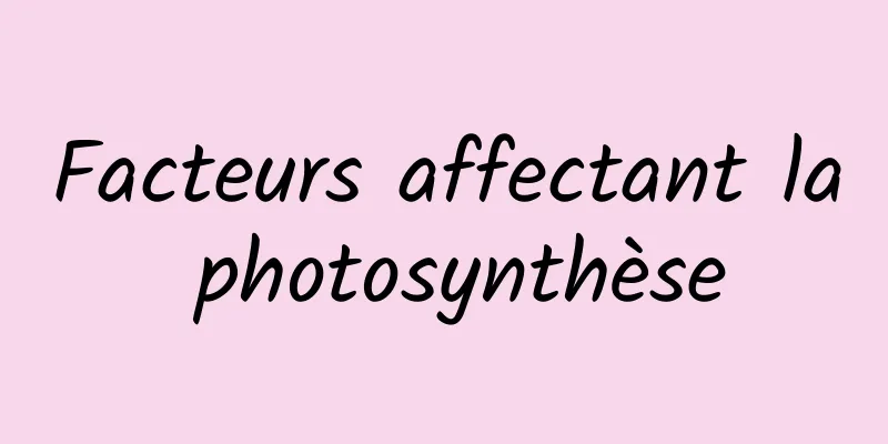 Facteurs affectant la photosynthèse