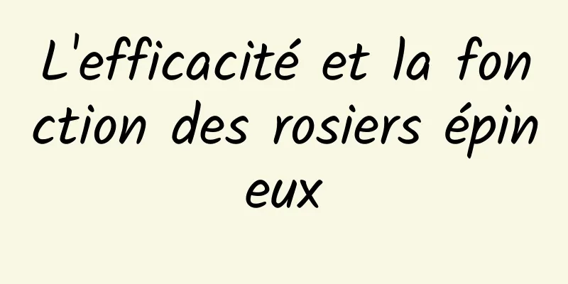 L'efficacité et la fonction des rosiers épineux