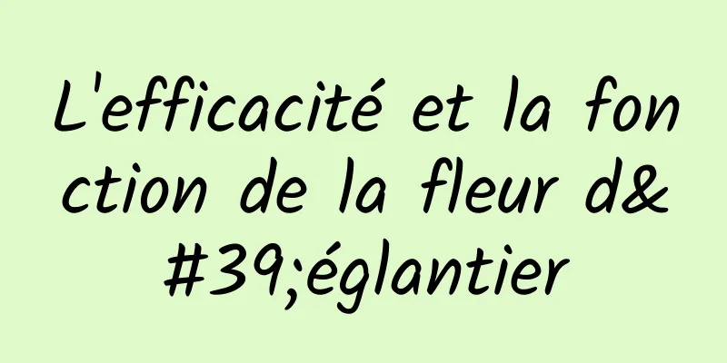 L'efficacité et la fonction de la fleur d'églantier