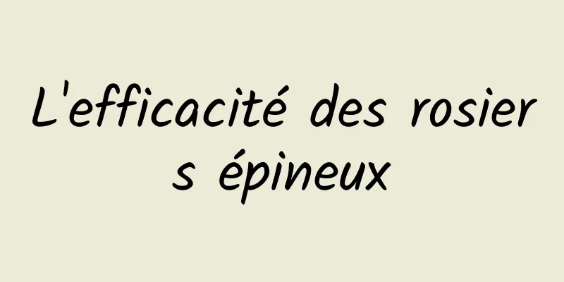 L'efficacité des rosiers épineux