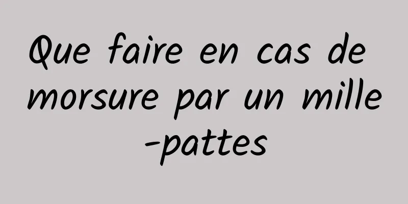 Que faire en cas de morsure par un mille-pattes