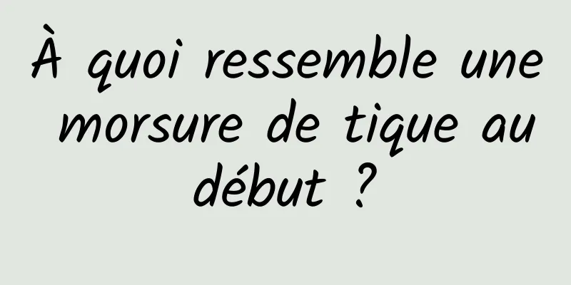 À quoi ressemble une morsure de tique au début ? 