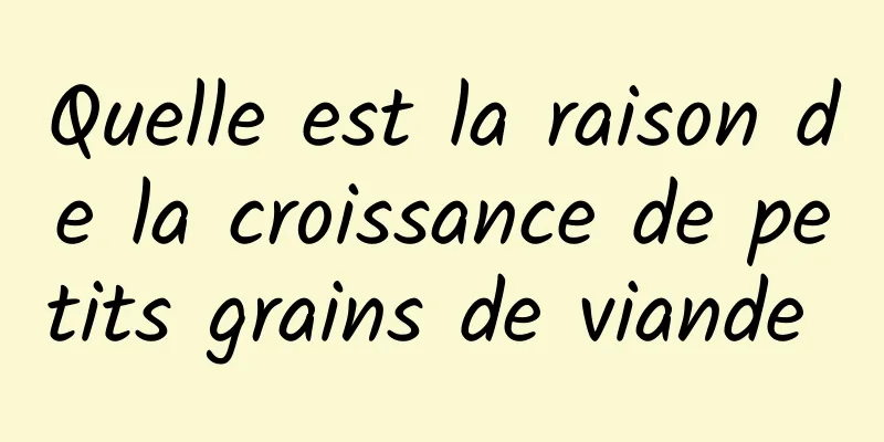 Quelle est la raison de la croissance de petits grains de viande 