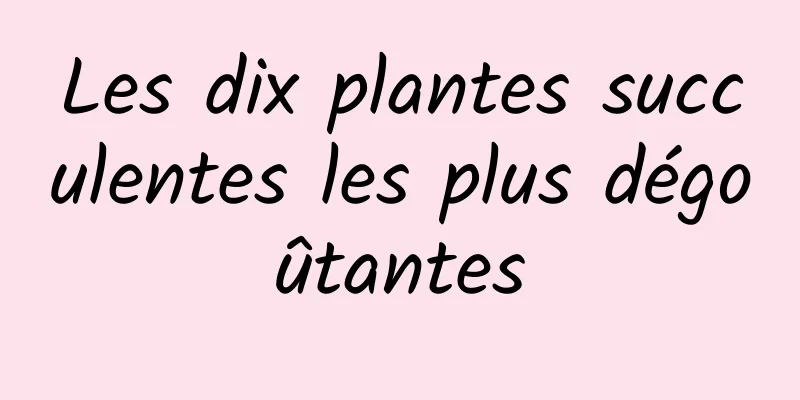 Les dix plantes succulentes les plus dégoûtantes