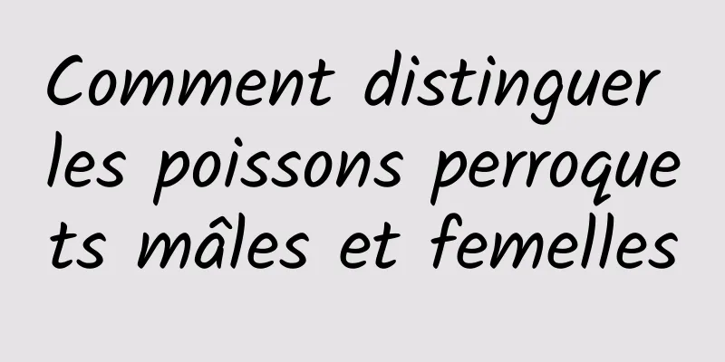 Comment distinguer les poissons perroquets mâles et femelles