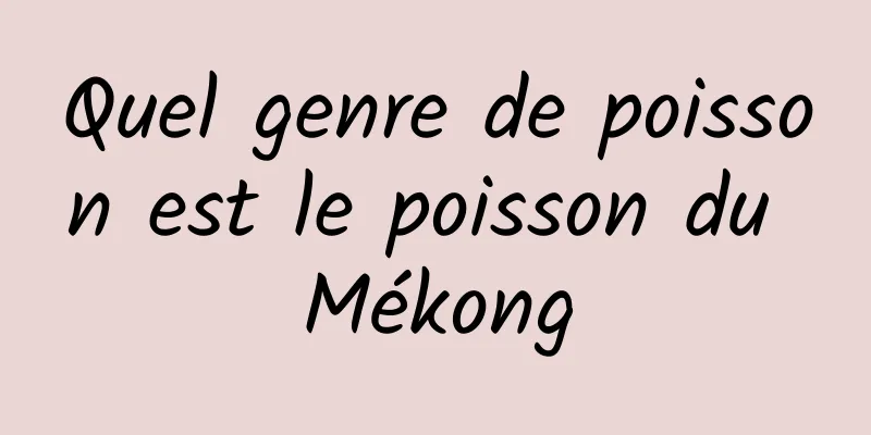 Quel genre de poisson est le poisson du Mékong