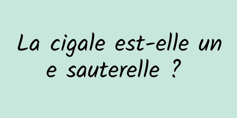 La cigale est-elle une sauterelle ? 