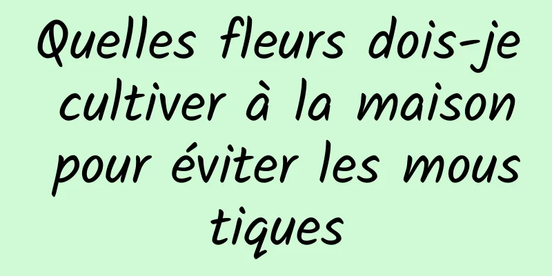 Quelles fleurs dois-je cultiver à la maison pour éviter les moustiques