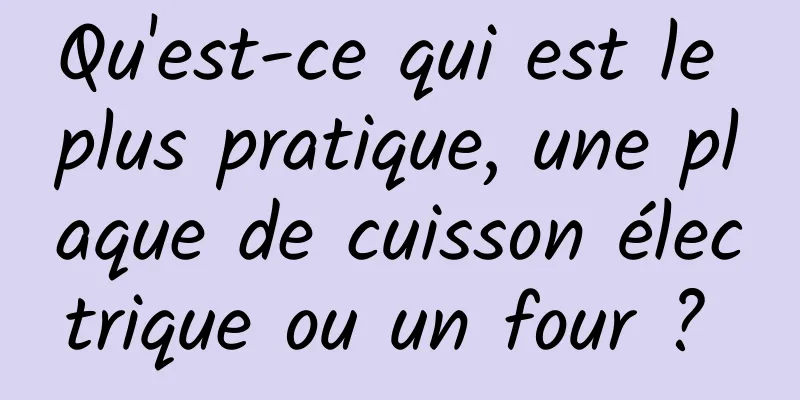 Qu'est-ce qui est le plus pratique, une plaque de cuisson électrique ou un four ? 