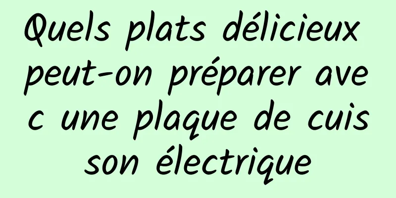 Quels plats délicieux peut-on préparer avec une plaque de cuisson électrique