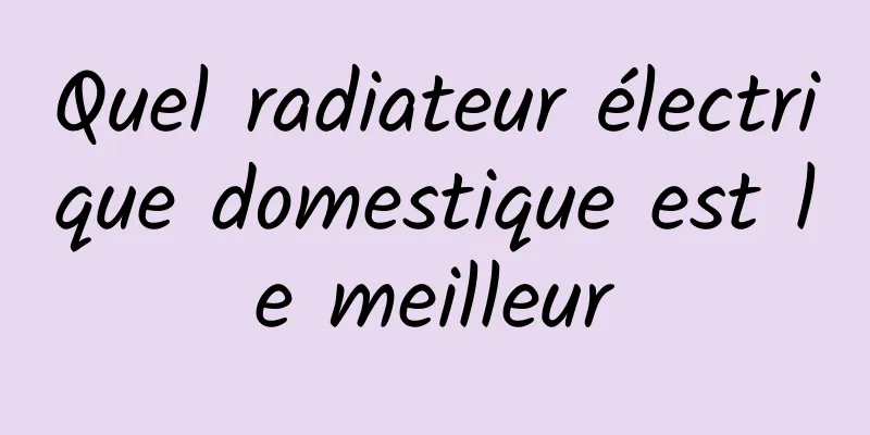 Quel radiateur électrique domestique est le meilleur