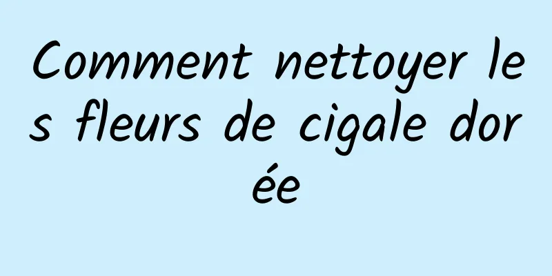 Comment nettoyer les fleurs de cigale dorée