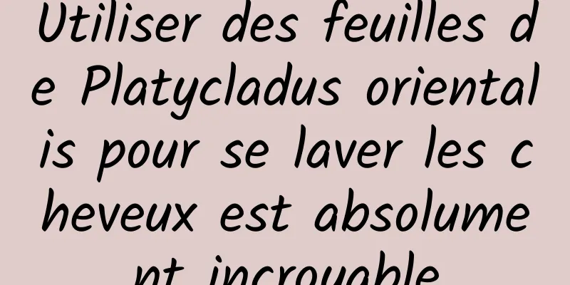 Utiliser des feuilles de Platycladus orientalis pour se laver les cheveux est absolument incroyable