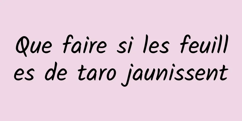 Que faire si les feuilles de taro jaunissent