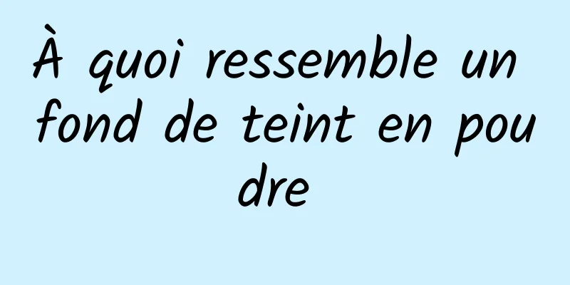 À quoi ressemble un fond de teint en poudre 