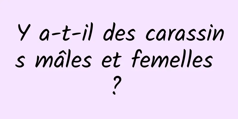 Y a-t-il des carassins mâles et femelles ? 