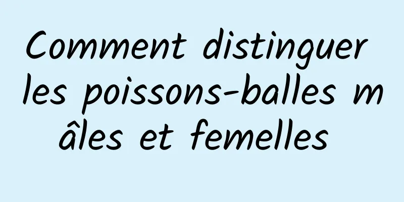 Comment distinguer les poissons-balles mâles et femelles 