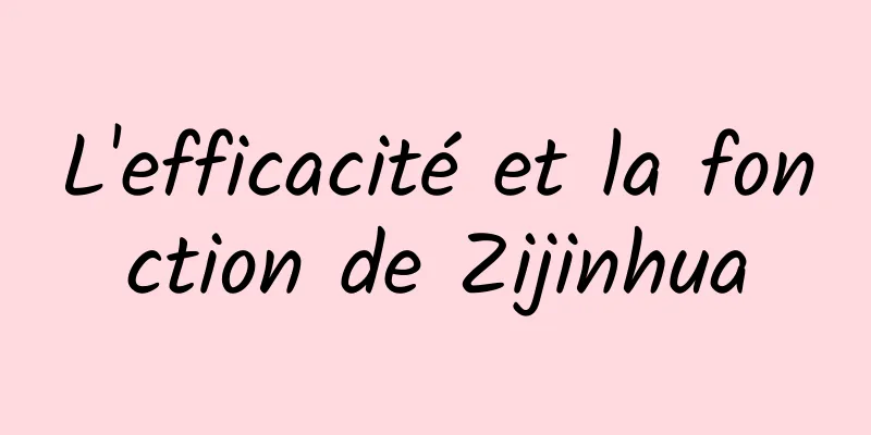 L'efficacité et la fonction de Zijinhua